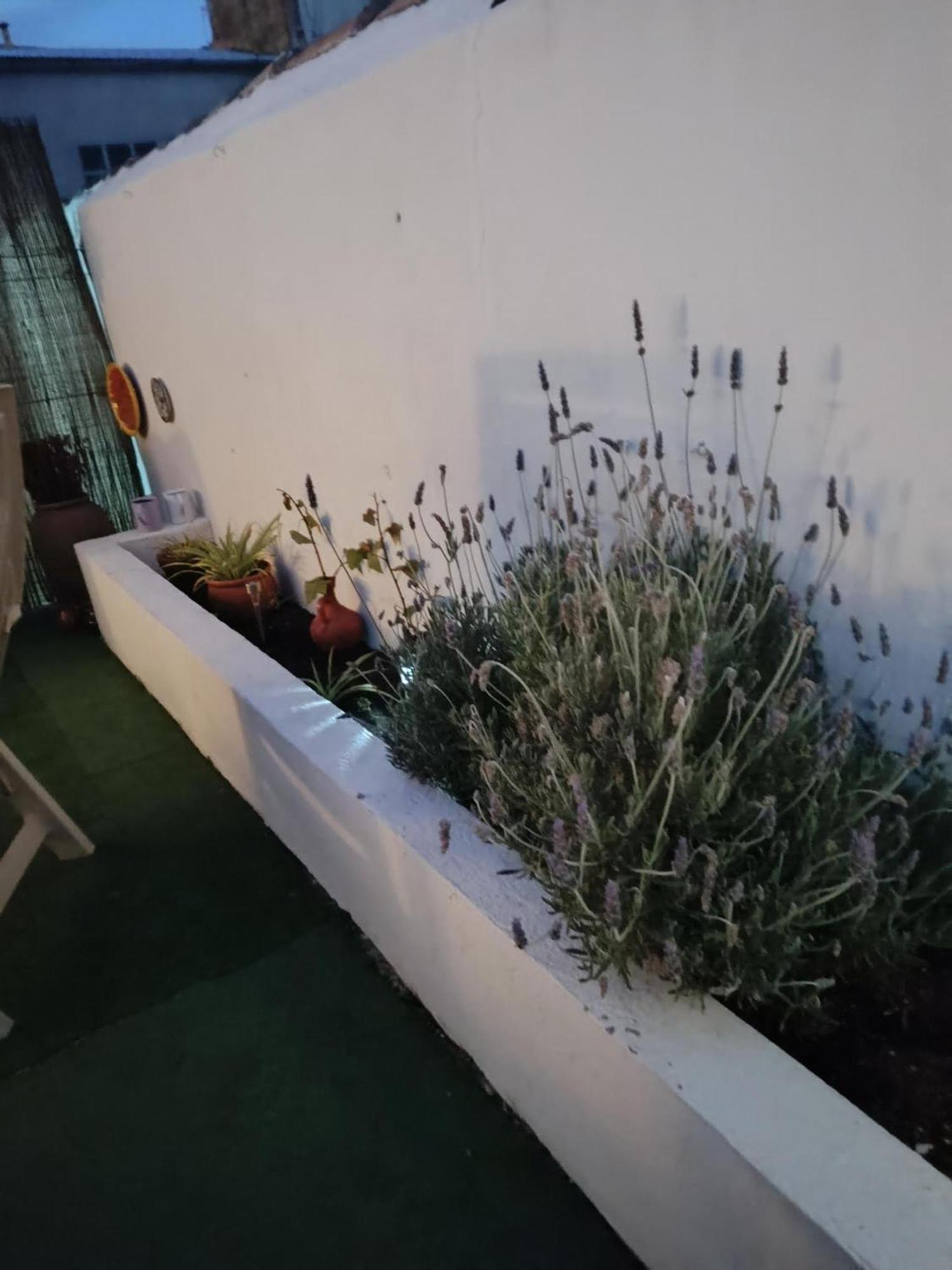 Casa Rural Alegria Caudete de las Fuentes Kültér fotó